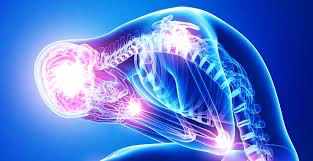 Stress Brain Activity